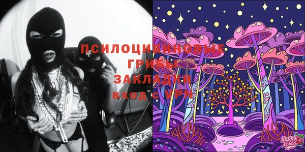 индика Алексеевка