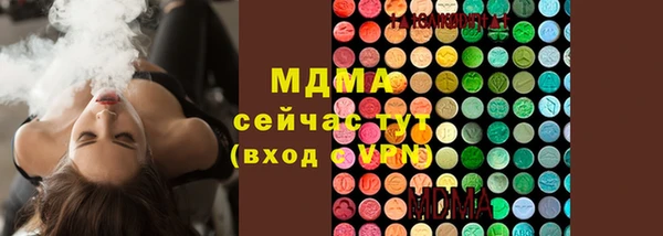 индика Алексеевка