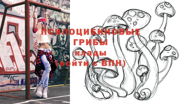 индика Алексеевка