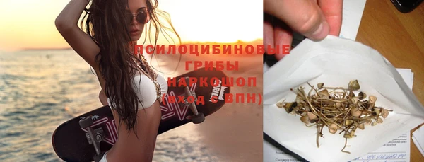 индика Алексеевка